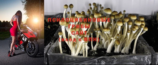 прущая мука Лихославль